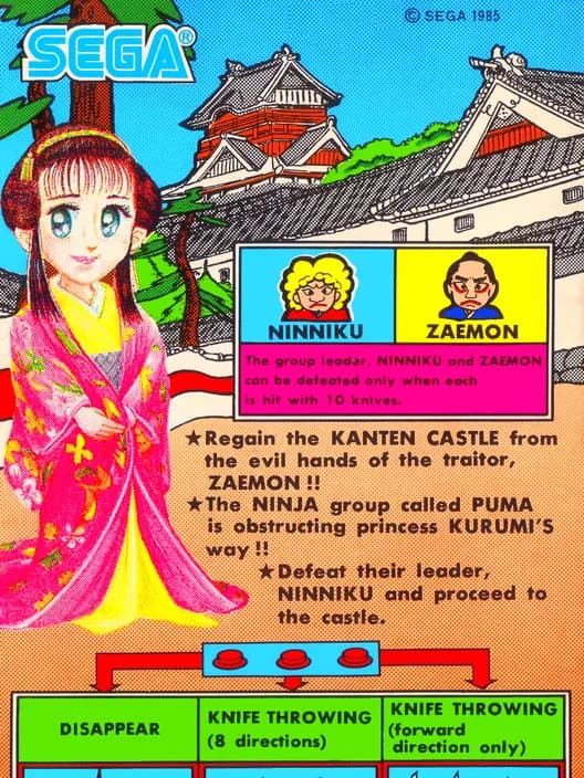 Sega Ninja