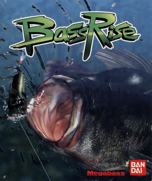 Bass Rise