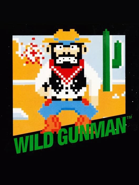 Wild Gunman