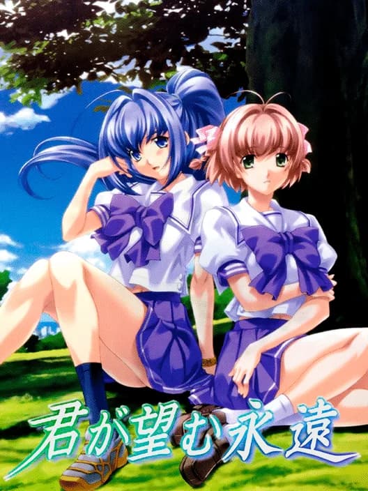 Kimi ga Nozomu Eien