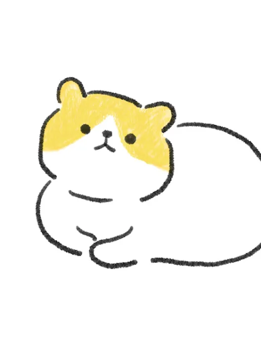 Weird Cat