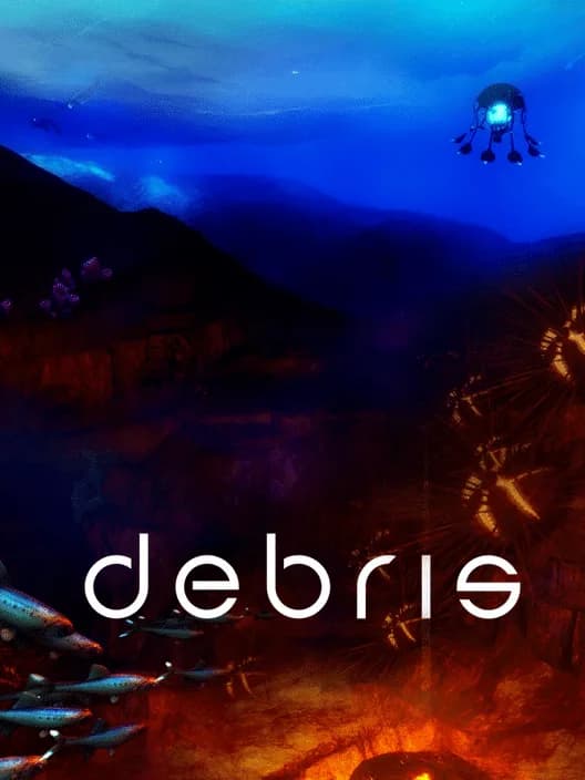 Debris