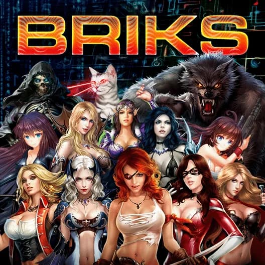 Briks